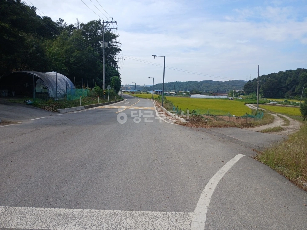 경기도 안성시 보개면 토지 사진 1
