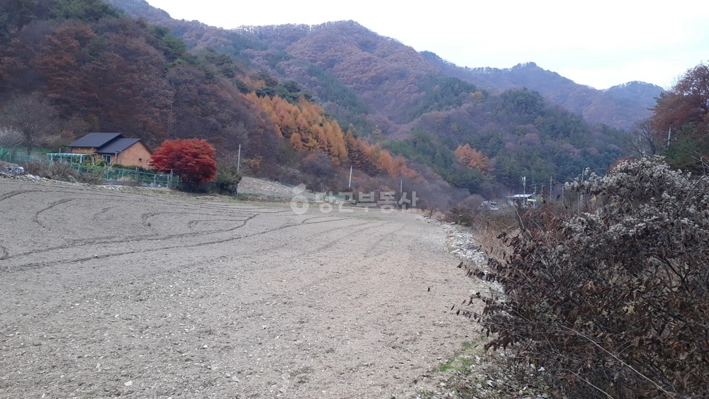 강원특별자치도 횡성군 갑천면 토지 사진 1