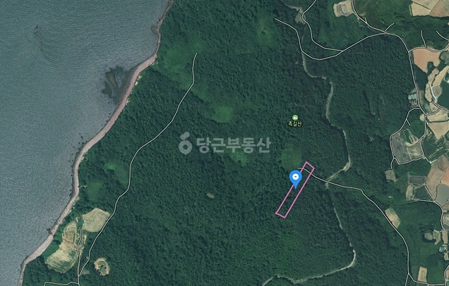 전남광주통합특별시 무안군 해제면 토지 사진 1