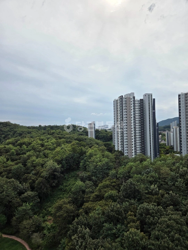 경기도 부천시 소사구 옥길동 아파트 사진 1