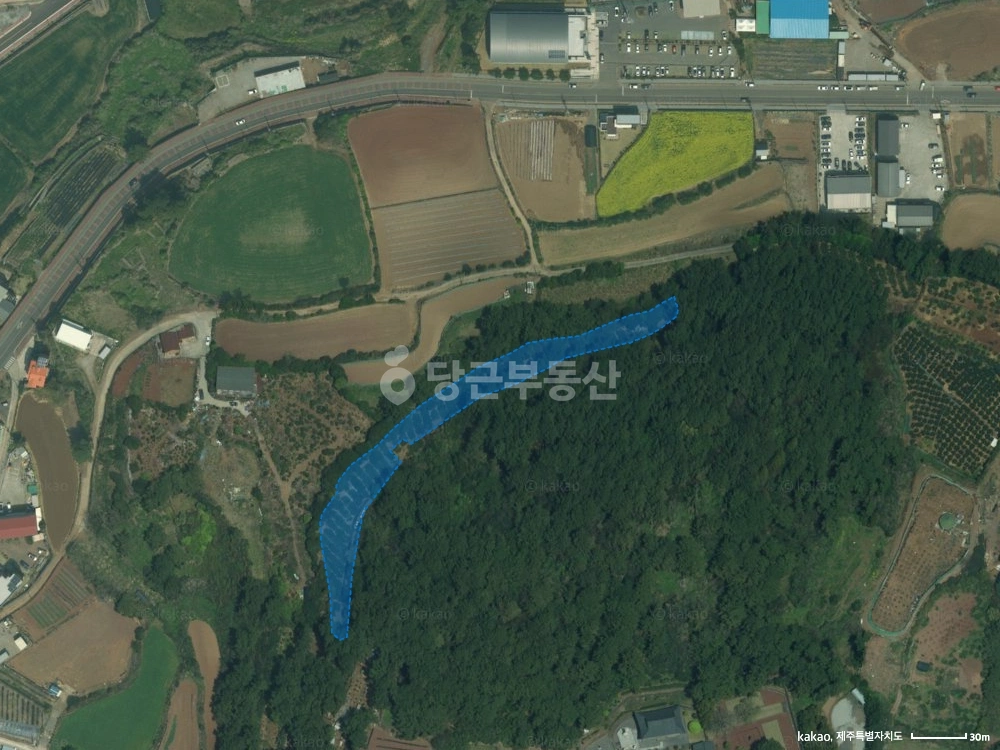 제주특별자치도 제주시 삼양일동 토지 사진 1