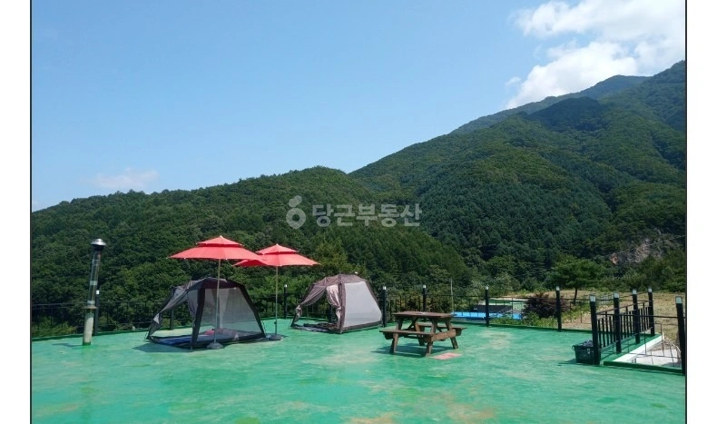 강원특별자치도 화천군 사내면 단독/전원주택 사진 1