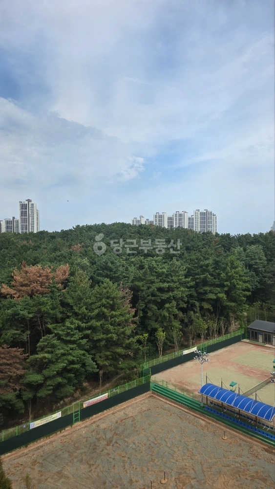 경상북도 포항시 북구 두호동 아파트 사진 1