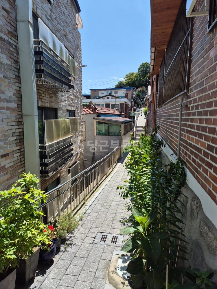 서울특별시 성북구 삼선동1가 단독/전원주택 사진 1