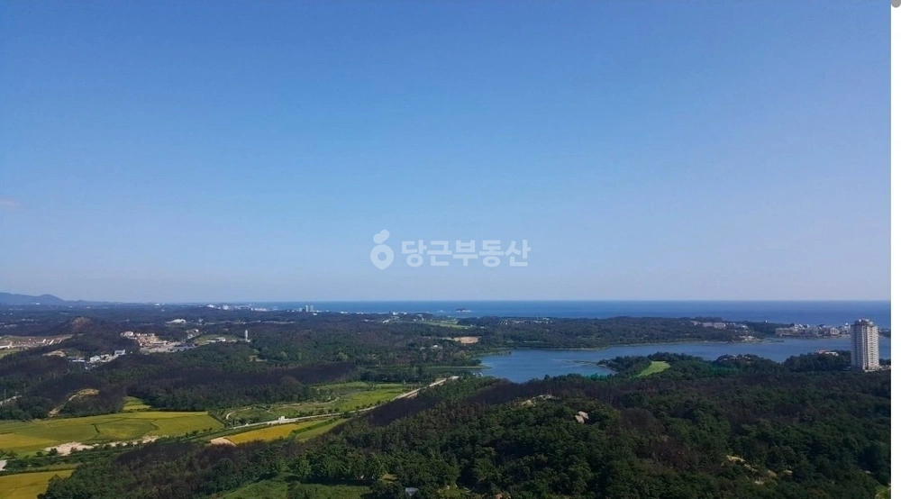 강원특별자치도 속초시 교동 아파트 사진 1