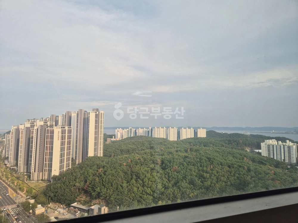 경상북도 포항시 북구 장성동 아파트 사진 1