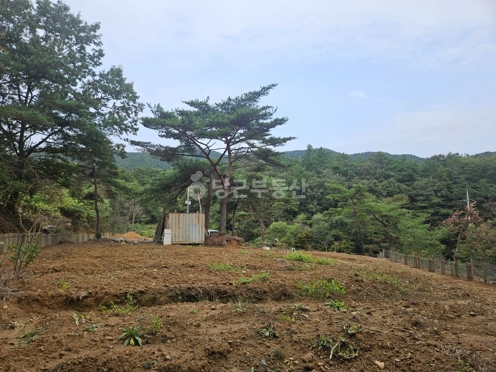 전남광주통합특별시 보성군 복내면 토지 사진 1