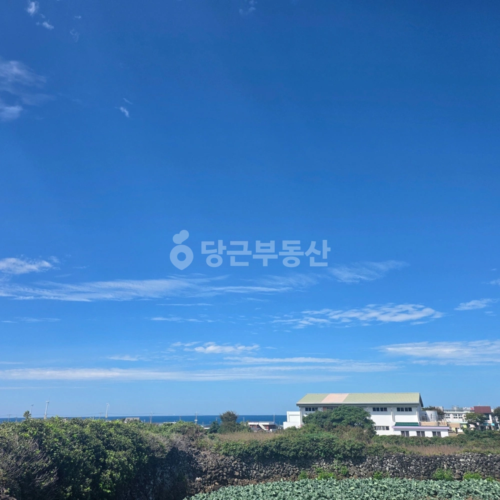 제주특별자치도 제주시 한림읍 토지 사진 1