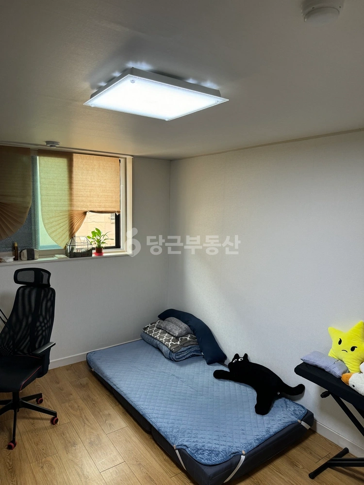 경기도 성남시 분당구 야탑동 원룸 사진 1