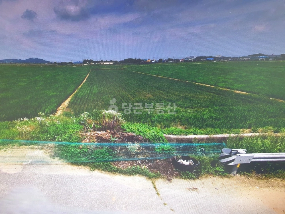 충청남도 아산시 영인면 토지 사진 1