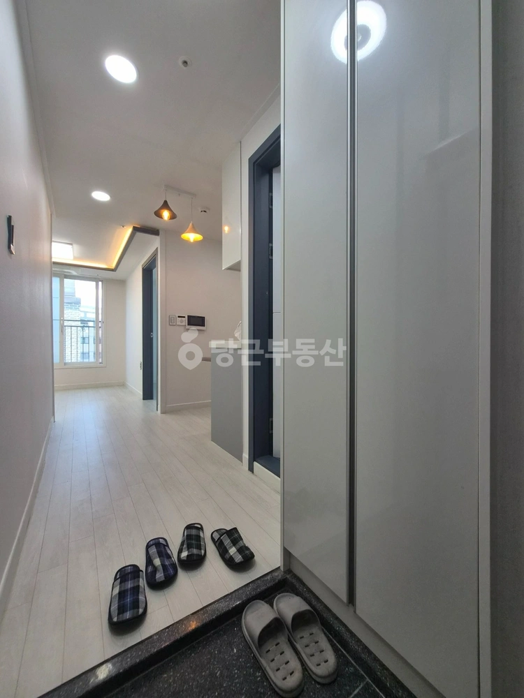 서울특별시 강서구 등촌동 빌라(투룸 이상) 사진 1