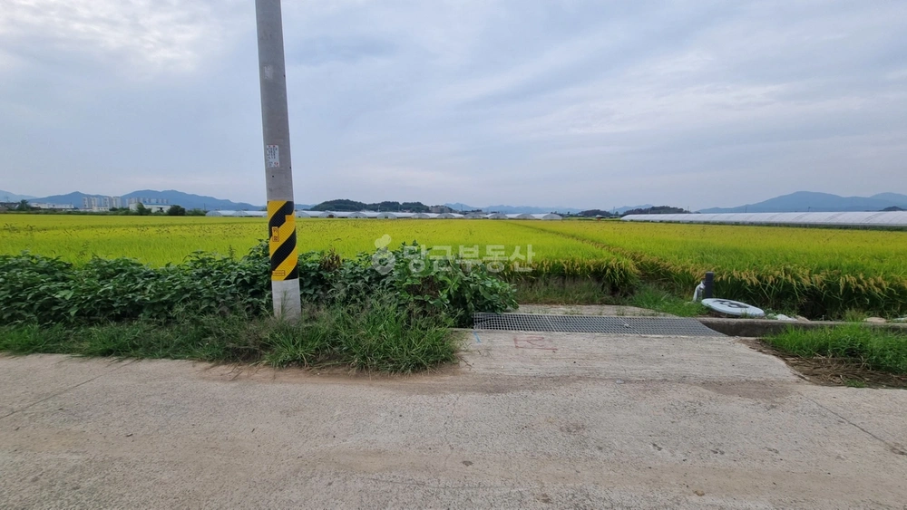 경상남도 창원시 의창구 대산면 토지 사진 1