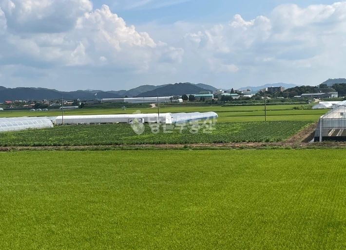 충청남도 예산군 오가면 토지 사진 1