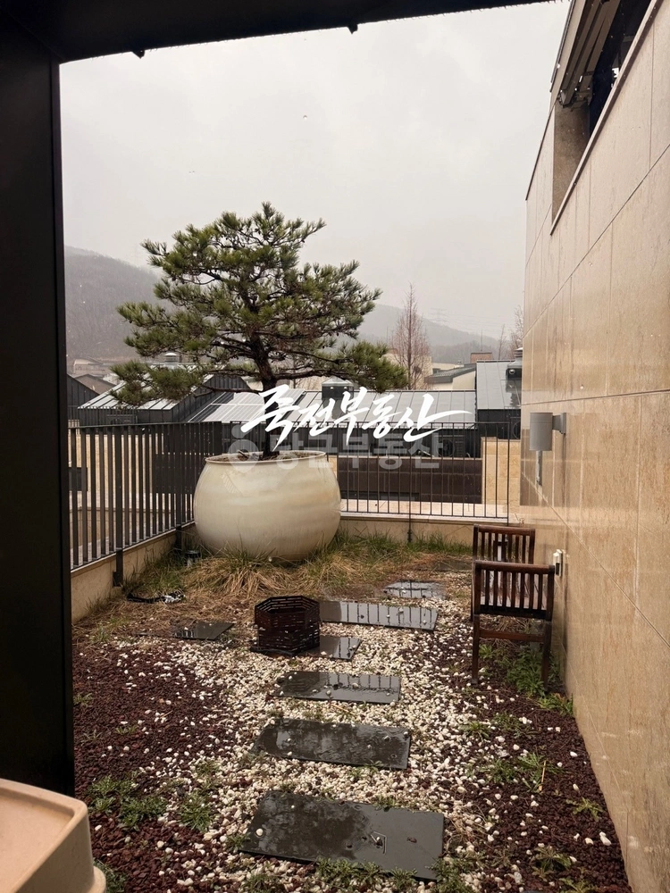 경기도 성남시 분당구 구미동 빌라(투룸 이상) 사진 1
