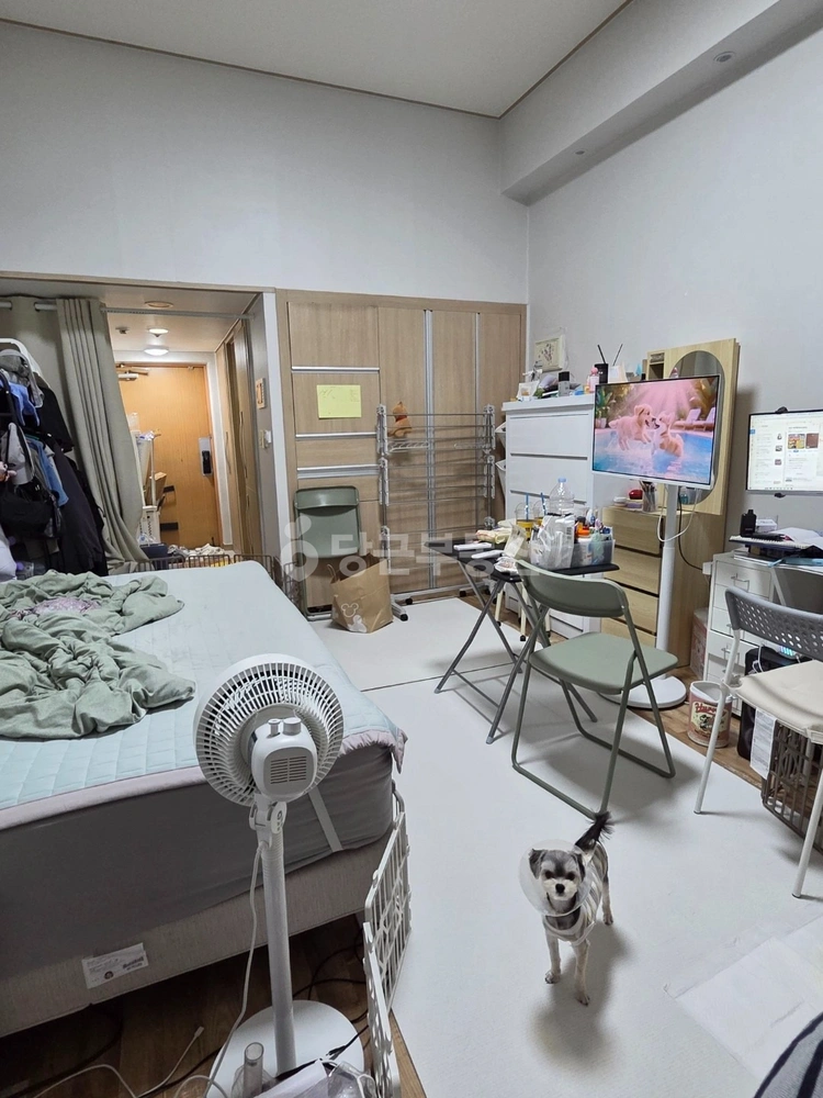 인천광역시 남동구 구월동 오피스텔 사진 1