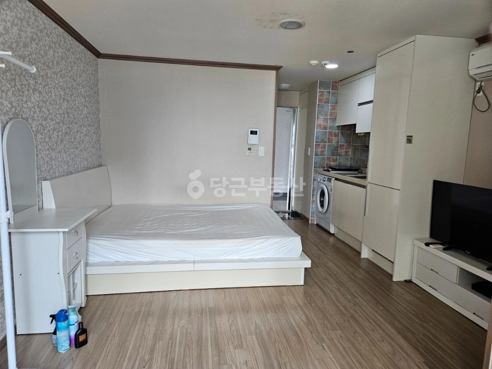 제주특별자치도 서귀포시 법환동 원룸 사진 1