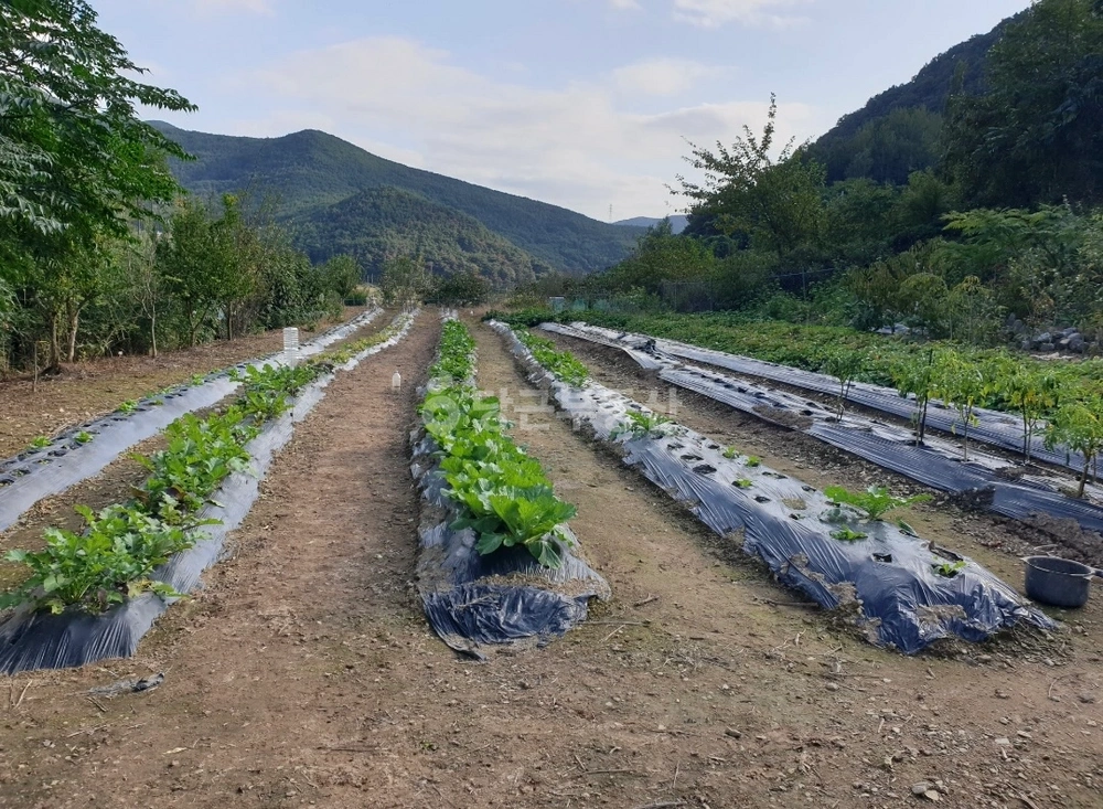 경상남도 창녕군 성산면 토지 사진 1