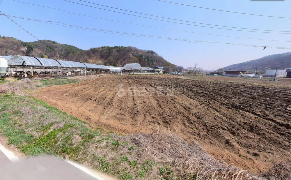 세종특별자치시 연서면 토지 사진 1