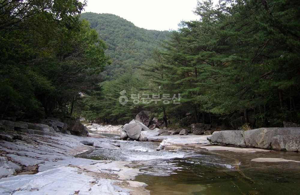 경상남도 거창군 북상면 토지 사진 1