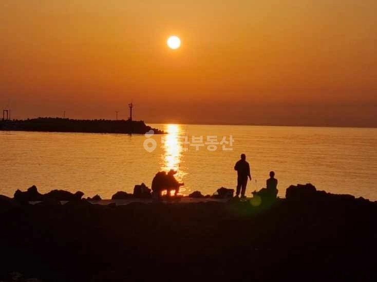 제주특별자치도 제주시 외도이동 원룸 사진 1