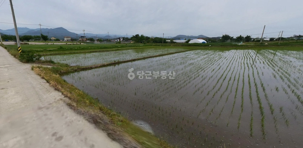 강원특별자치도 고성군 죽왕면 토지 사진 1