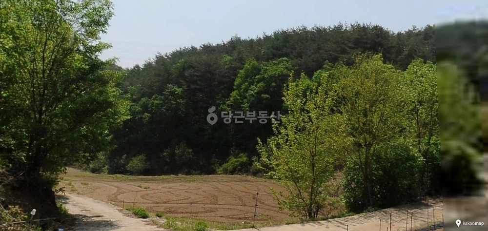 충청북도 단양군 영춘면 토지 사진 1
