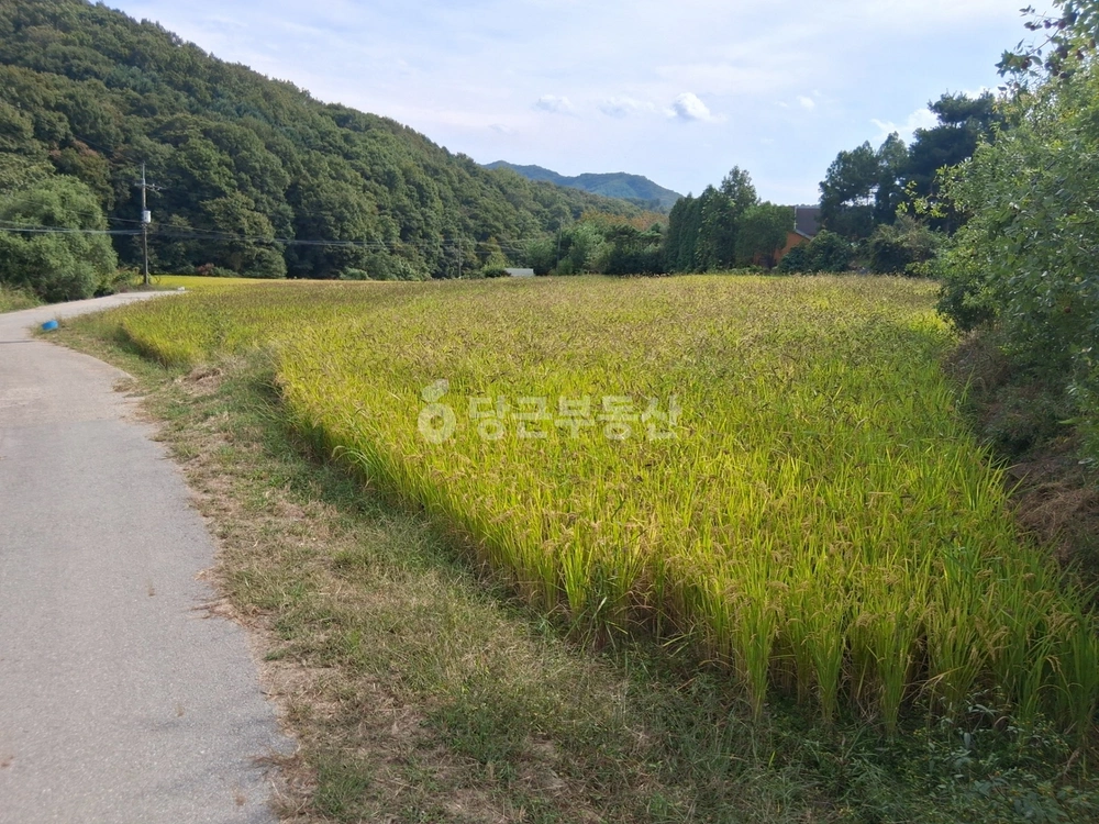 충청남도 천안시 동남구 북면 토지 사진 1