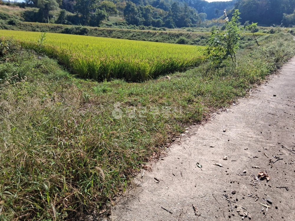 충청남도 천안시 동남구 성남면 토지 사진 1