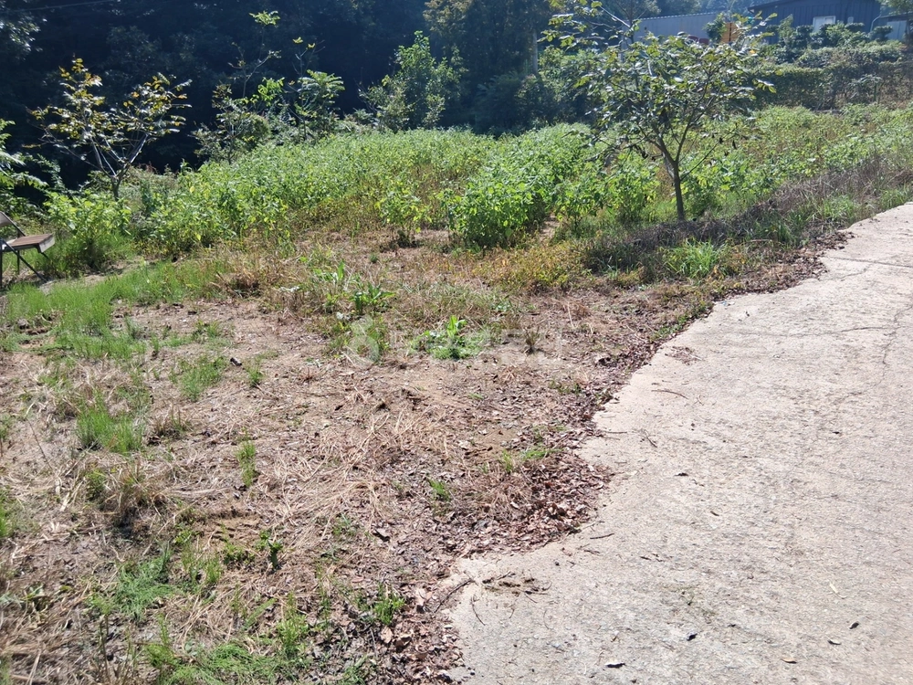 충청남도 천안시 동남구 성남면 토지 사진 1