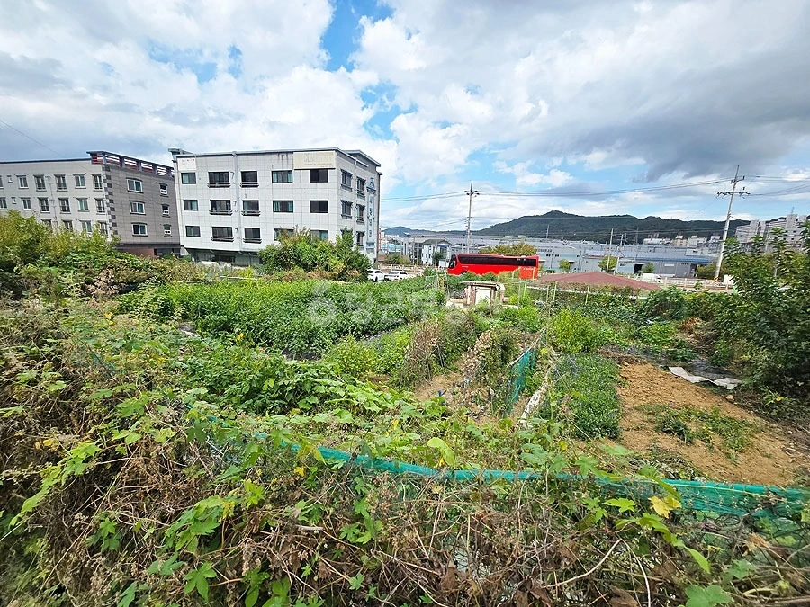 경상북도 칠곡군 석적읍 토지 사진 1