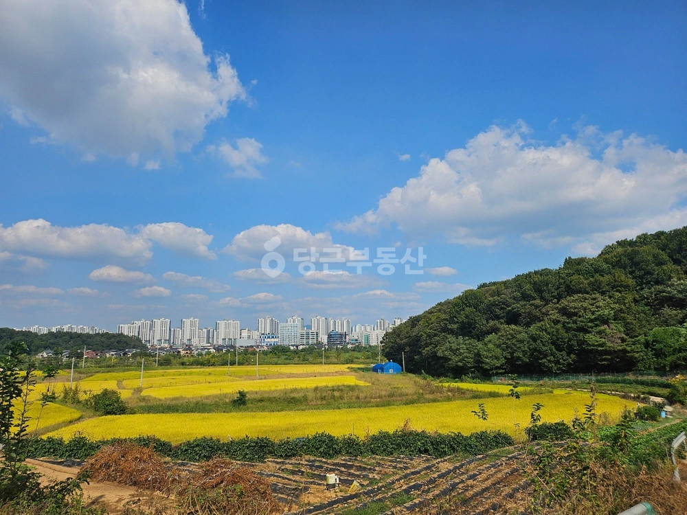 경기도 화성시 만세구 남양읍 토지 사진 1