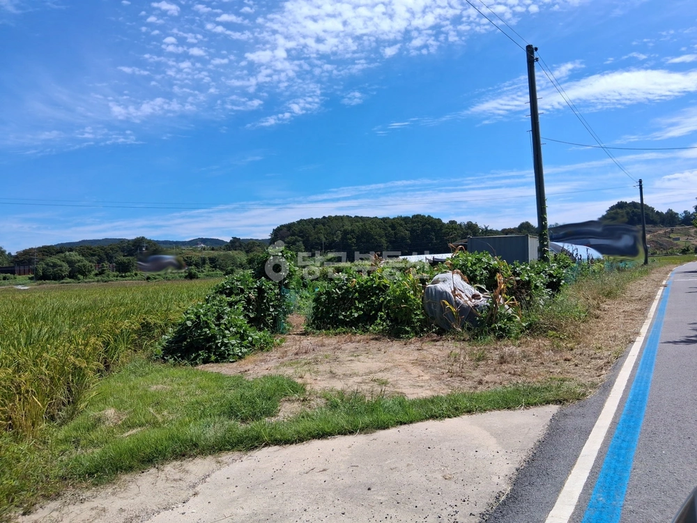 충청남도 천안시 동남구 목천읍 토지 사진 1