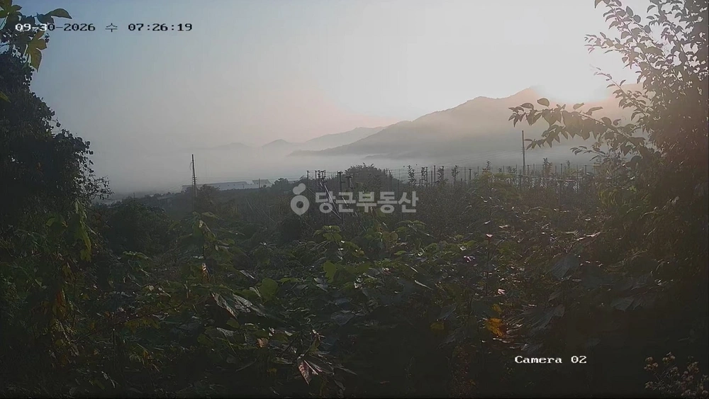 경상북도 상주시 외남면 토지 사진 1