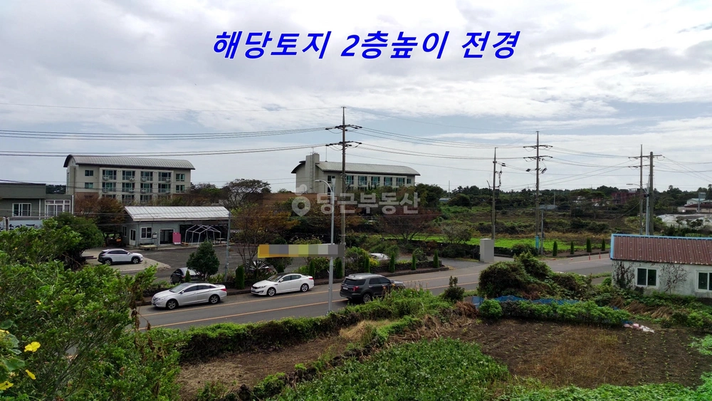 제주특별자치도 서귀포시 표선면 단독/전원주택 사진 1