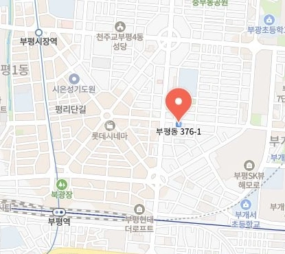 인천광역시 부평구 부평동 아파트 사진 1