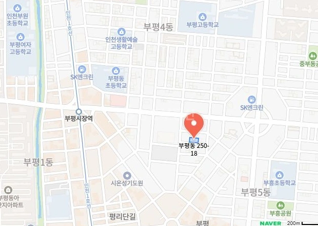 인천광역시 부평구 부평동 빌라(투룸 이상) 사진 1