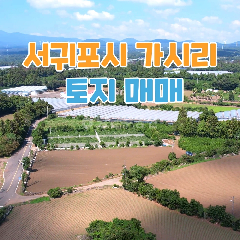 제주특별자치도 서귀포시 표선면 토지 사진 1