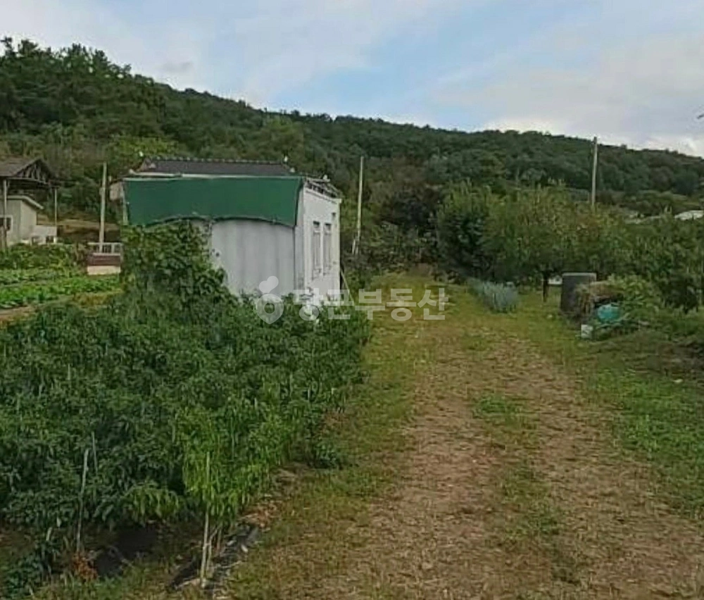 경상북도 경산시 용성면 토지 사진 1