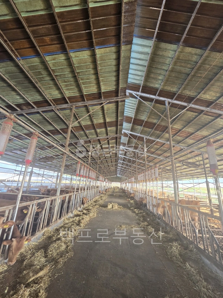 전북특별자치도 정읍시 덕천면 토지 사진 1