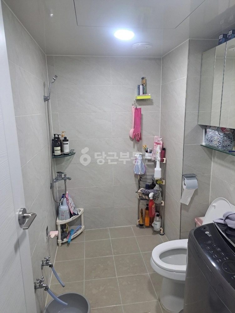 경상북도 경주시 노서동 빌라(투룸 이상) 사진 1