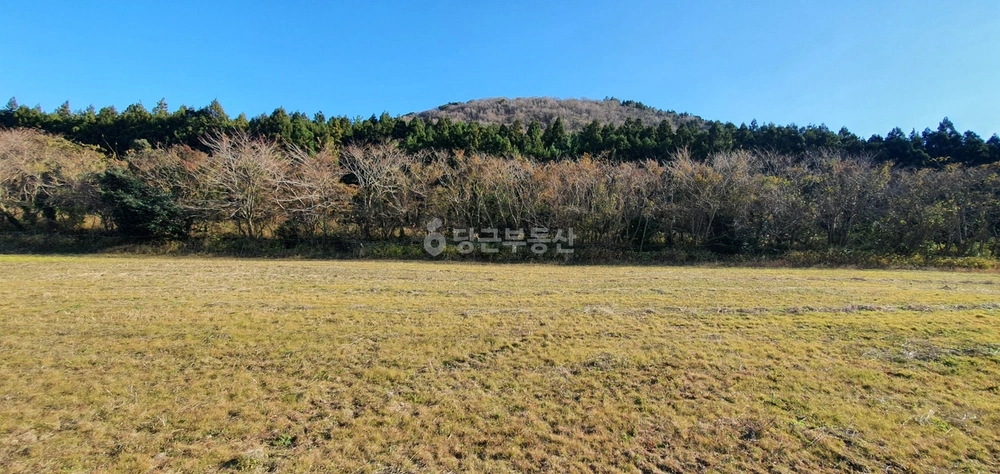 제주특별자치도 제주시 조천읍 토지 사진 1