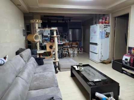인천광역시 검단구 당하동 빌라(투룸 이상) 사진 1