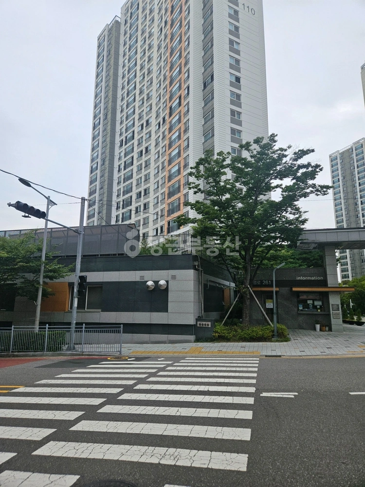 부산광역시 남구 대연동 아파트 사진 1