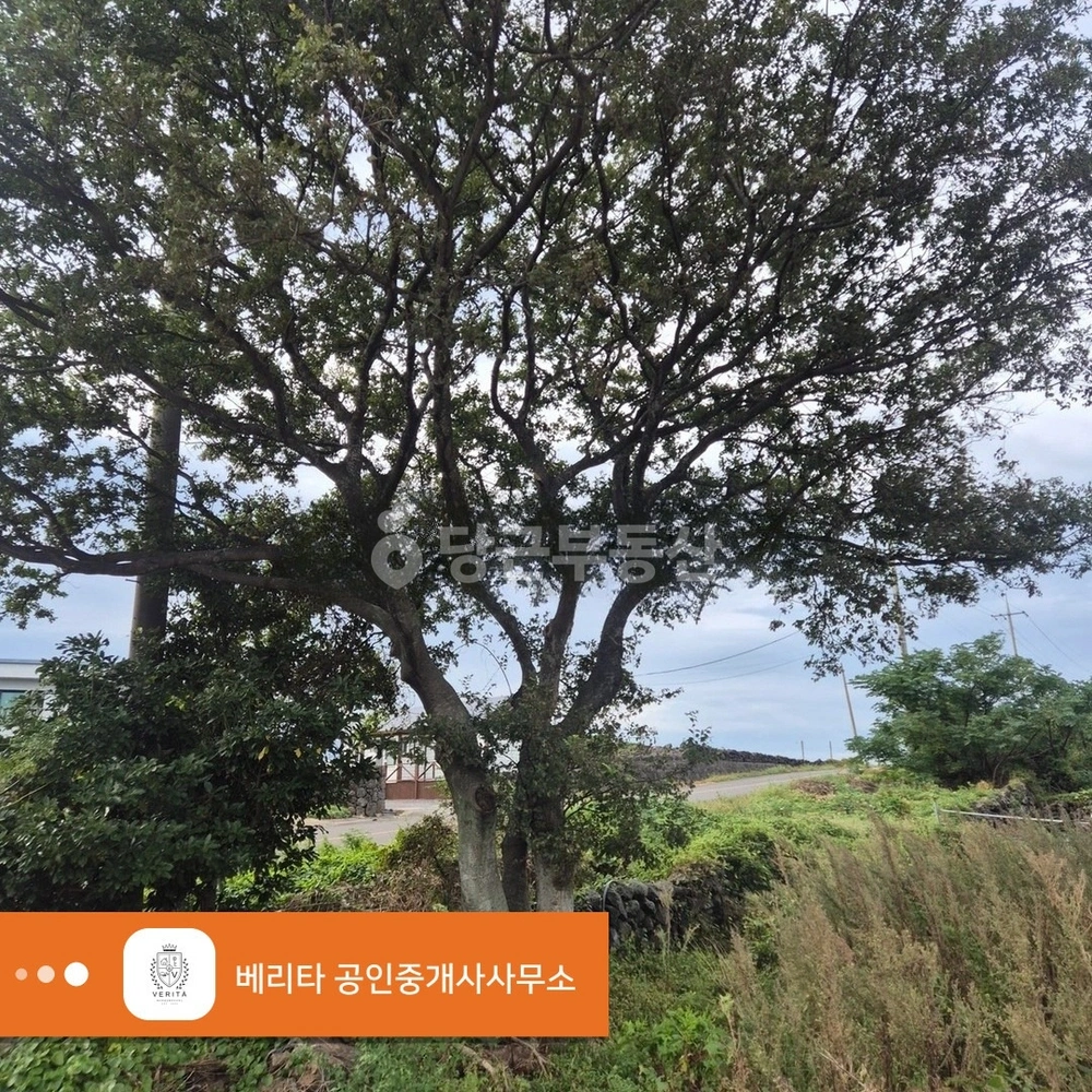 제주특별자치도 제주시 한림읍 토지 사진 1