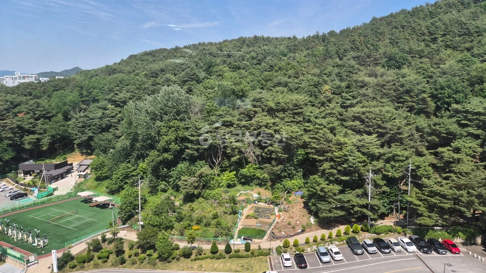 전북특별자치도 전주시 완산구 평화동1가 아파트 사진 1