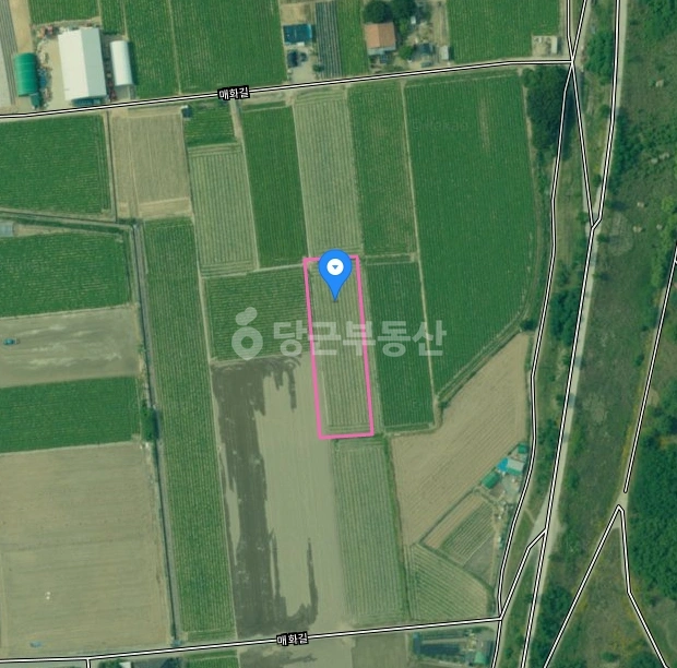 경상북도 고령군 개진면 토지 사진 1