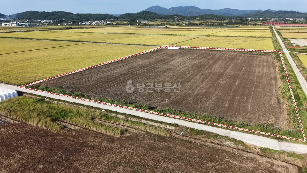 전남광주통합특별시 영암군 삼호읍 토지 사진 1