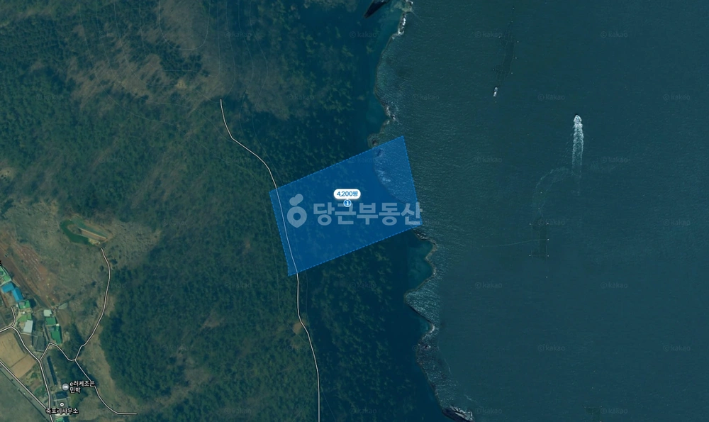 전남광주통합특별시 여수시 돌산읍 토지 사진 1