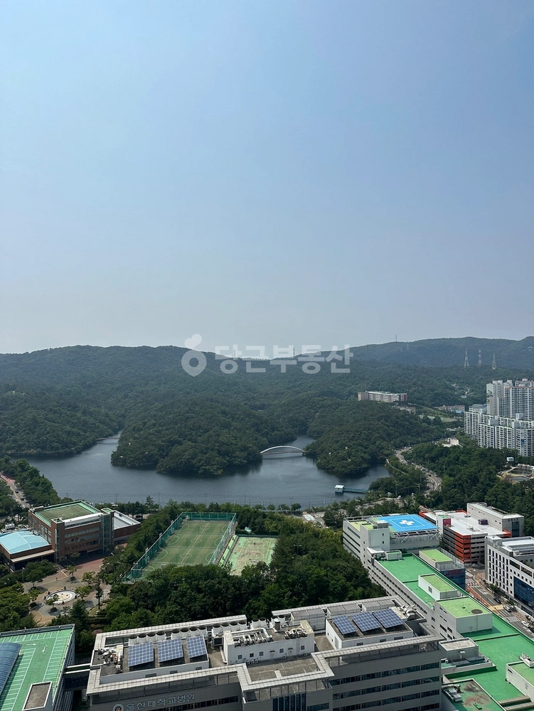 울산광역시 동구 전하동 아파트 사진 1