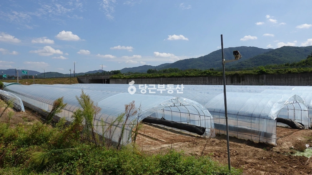 경상북도 성주군 대가면 토지 사진 1